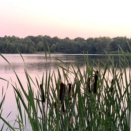 Seeblick Am Harkebruegger Mit Sauna Und Kamin Barssel (Cloppenburg)