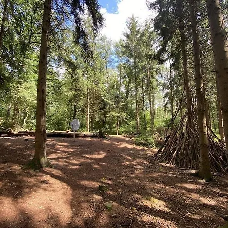 Seeblick Am Harkebruegger Mit Sauna Und Kamin