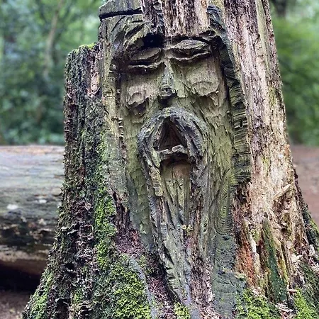 Seeblick Am Harkebruegger Mit Sauna Und Kamin Barssel (Cloppenburg)