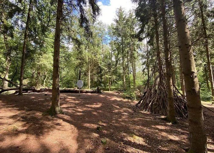 Seeblick Am Harkebruegger Mit Sauna Und Kamin
