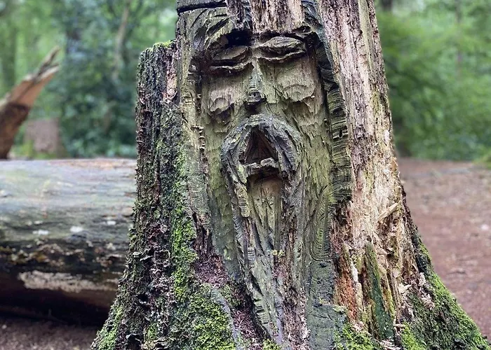 Seeblick Am Harkebruegger Mit Sauna Und Kamin Barssel (Cloppenburg)